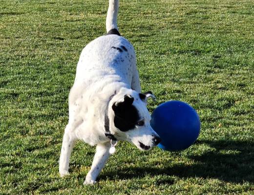 thumbnail_866194053715862887