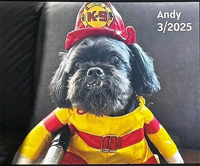 Andy