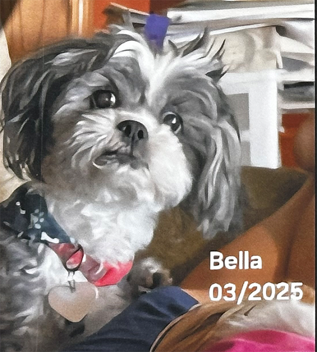 Bella