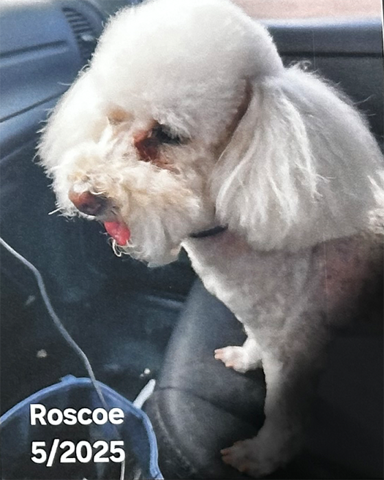 Roscoe